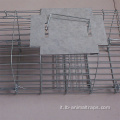 Trova di gabbia Coyote Live Cage Cage Live Coyote Coyote